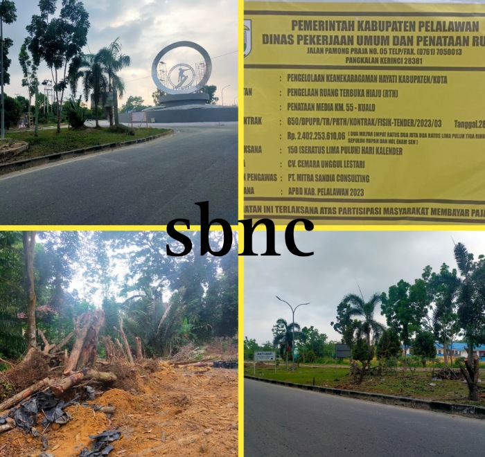 Pohon Pelindung Jalan Kabupaten Pelalawan, Azmun Nanam Harris Rawat Sekarang Ditumbang